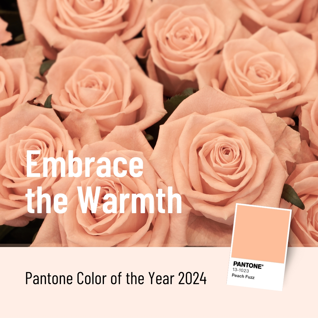 Pantone Color of the Year 2025 Peach Fuzz Good Circle Marketing